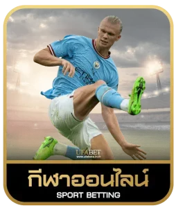 mc55 bet เดิมพันกีฬา